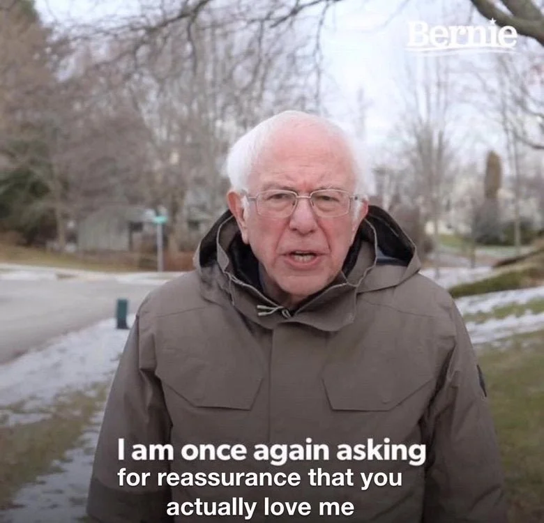 bernie validation.jpg
