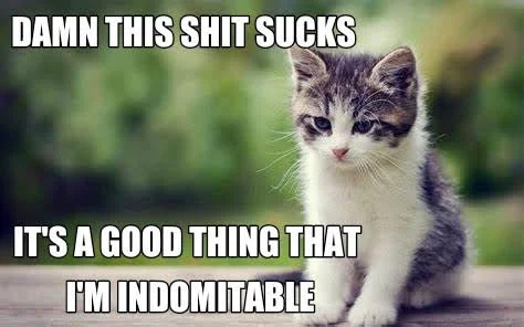 IMG_7731.PNG