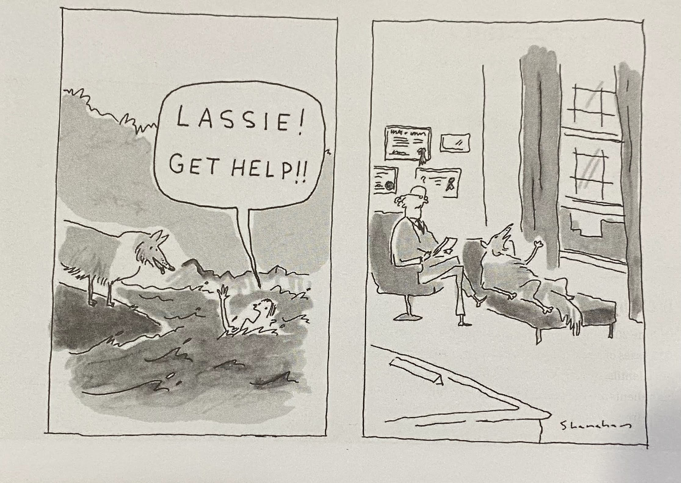 lassie get help.png