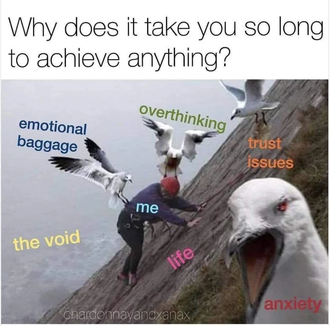 yelling seagull.JPG