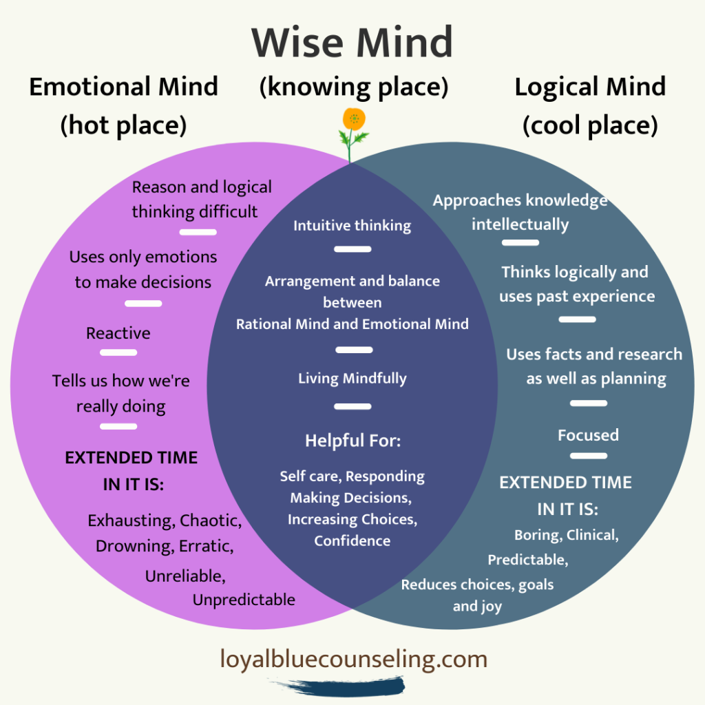 Wise-Mind-Venn.webp