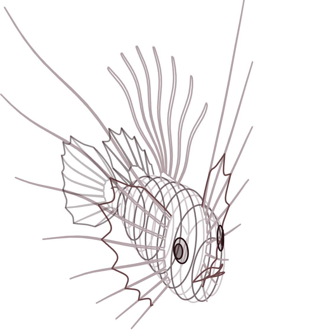 Lionfish