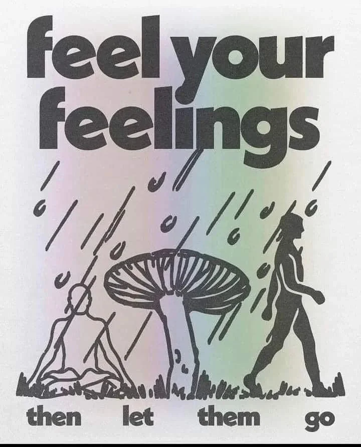feel your feelings mushroom.jpeg
