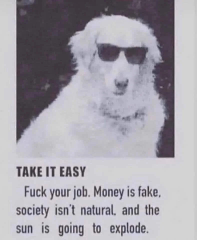 take it easy dog.jpg
