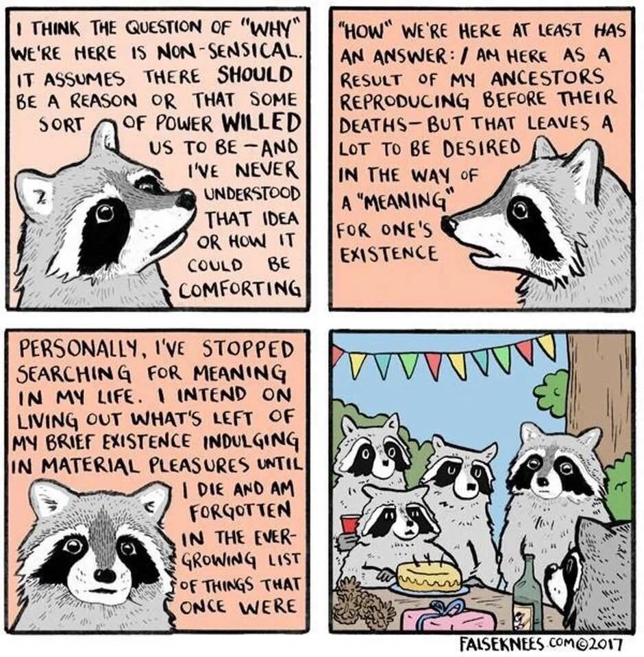 Raccoon existential birthday.jpg