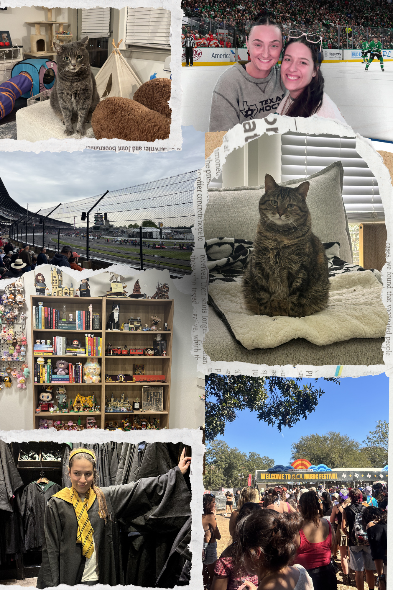 Collage of photos including a cat in a cozy room with toys, two friends at an ice hockey game, a view of a race track, a display of toys and collectibles, a woman in a black jacket inside a store, a clear sky with trees, and a crowd at a music festival.