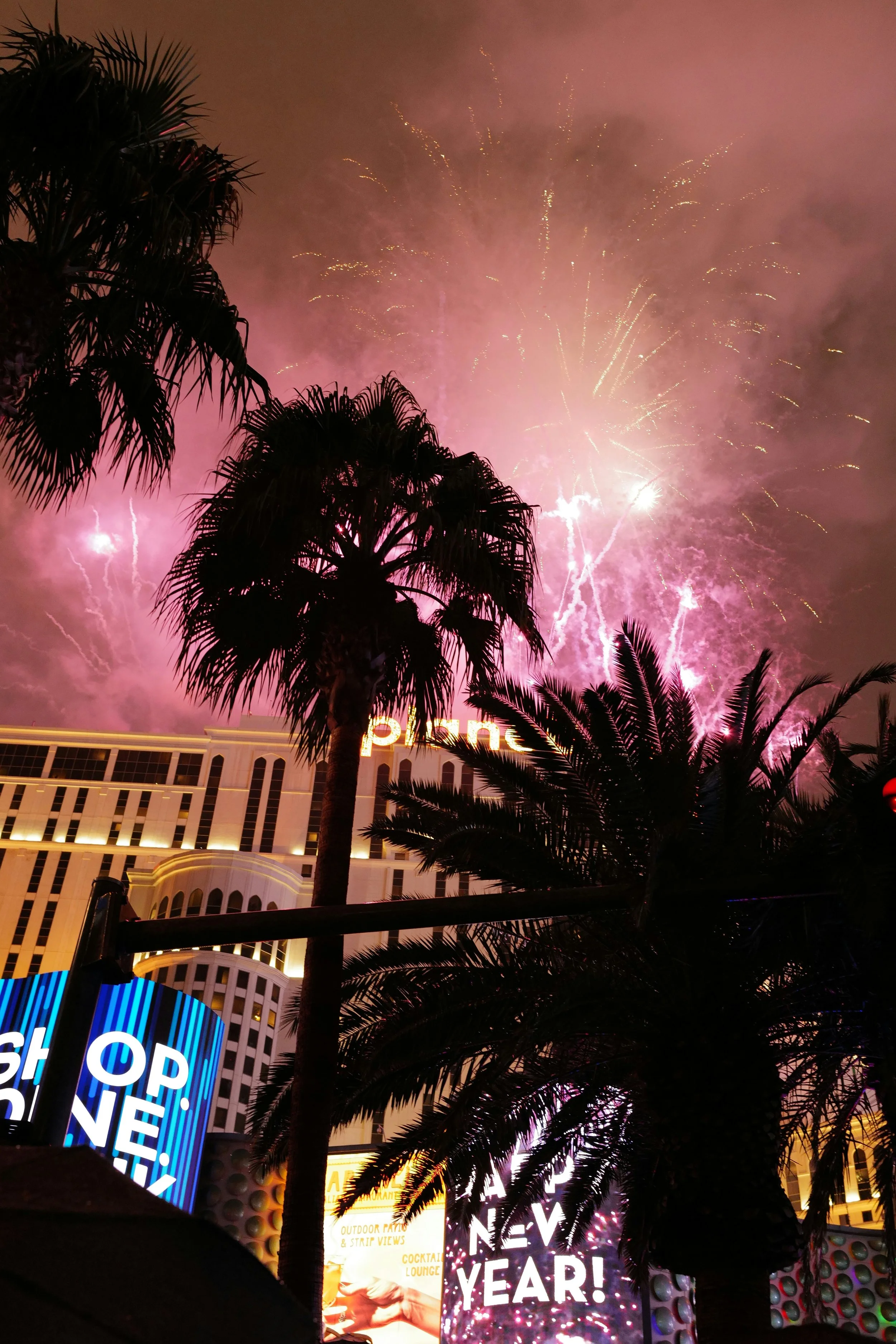 Fireworks, palm trees, and champagne for New Year's Eve.