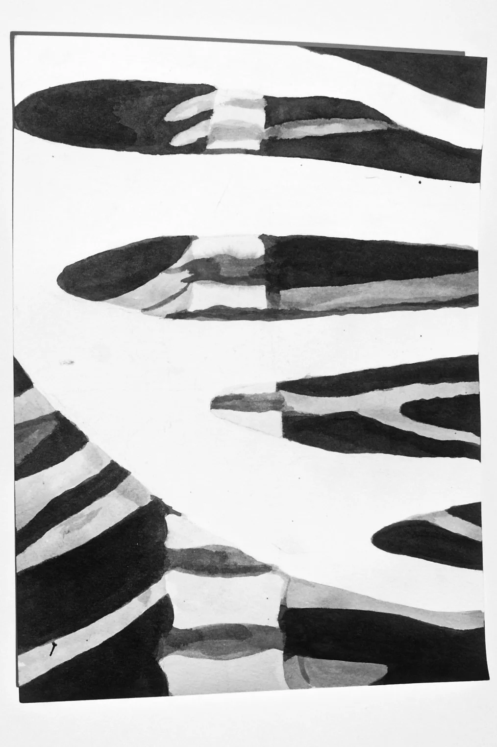 Ribs 2019 8x11 Sumi ink on paper