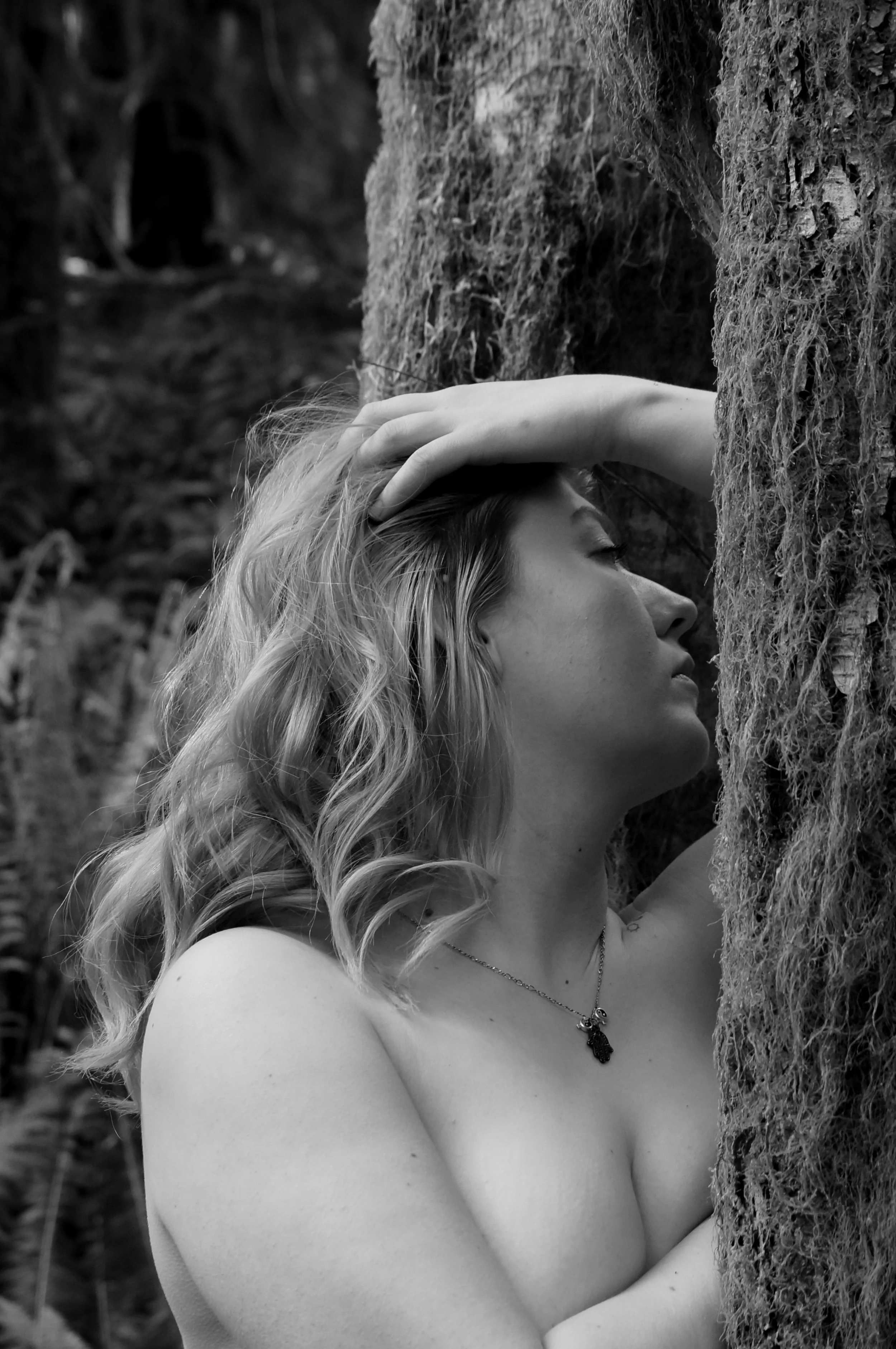 DSC00214 copycropped.jpg
