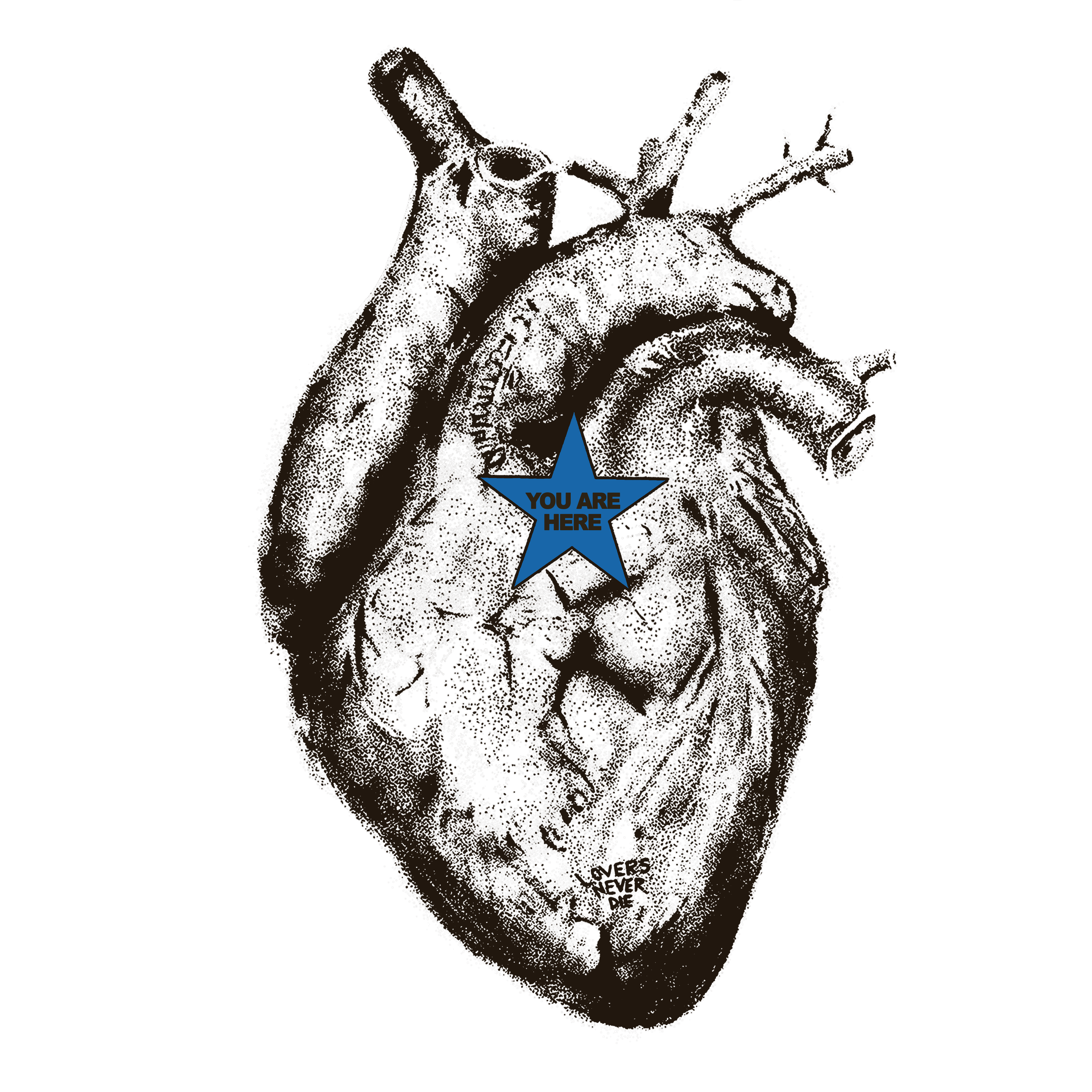 loversneverdiejuneheartbluestar 2.png