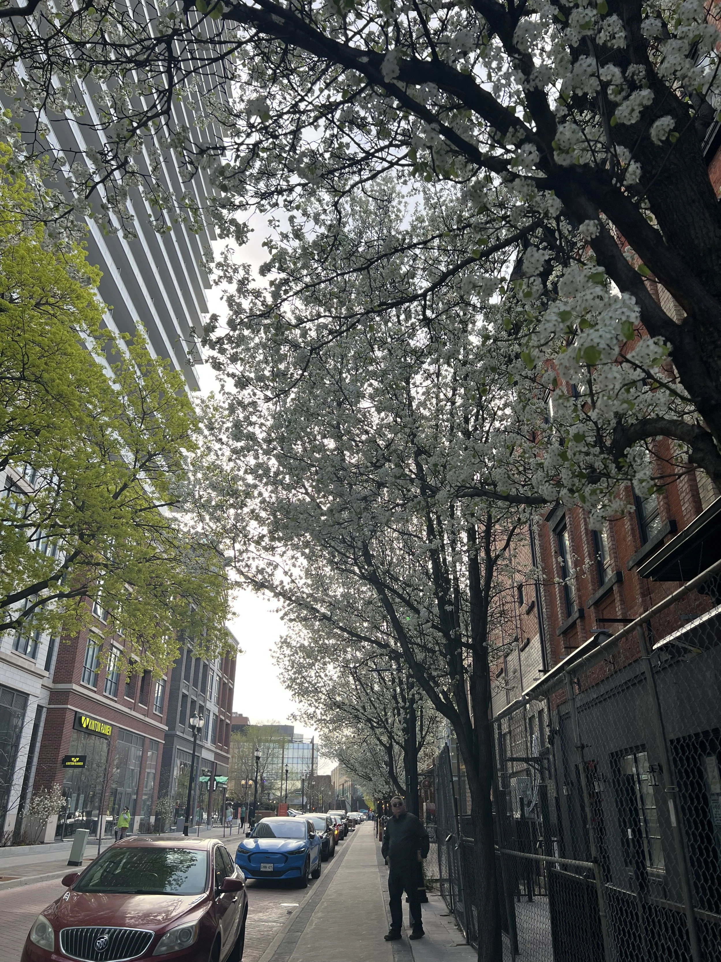IMG_9395.jpeg