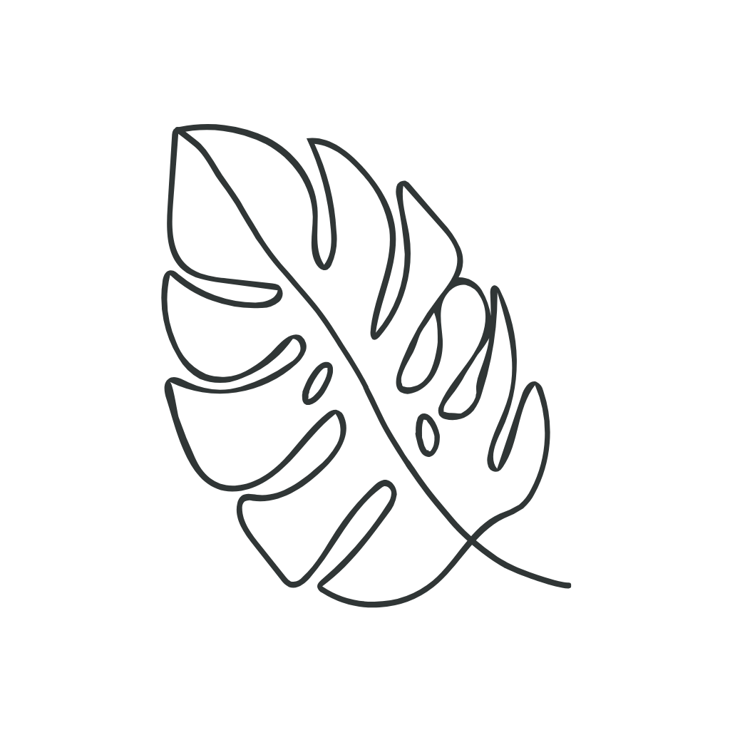 Outline drawing of a Monstera leaf on a black background.