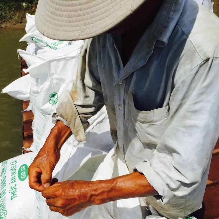 The Pangasius Spread — A Nasty Business?