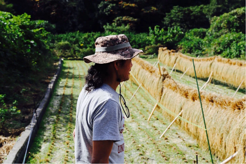 MY HUMBLE GOLDEN RICE - From scarcity to abundance