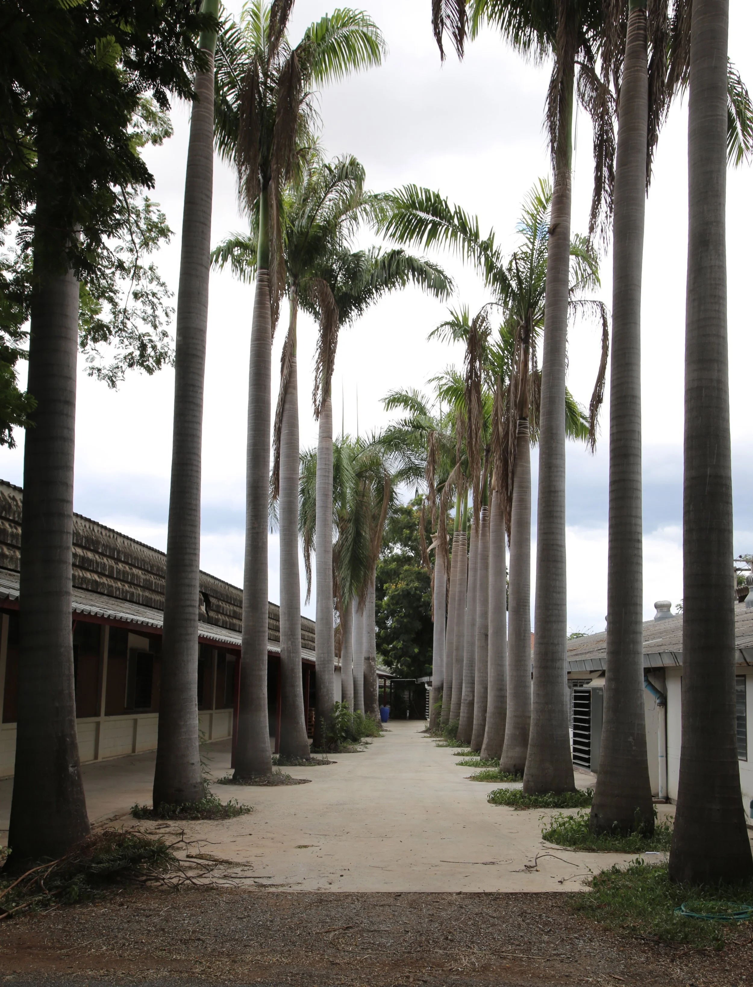 Jim Thompson factory10.jpg
