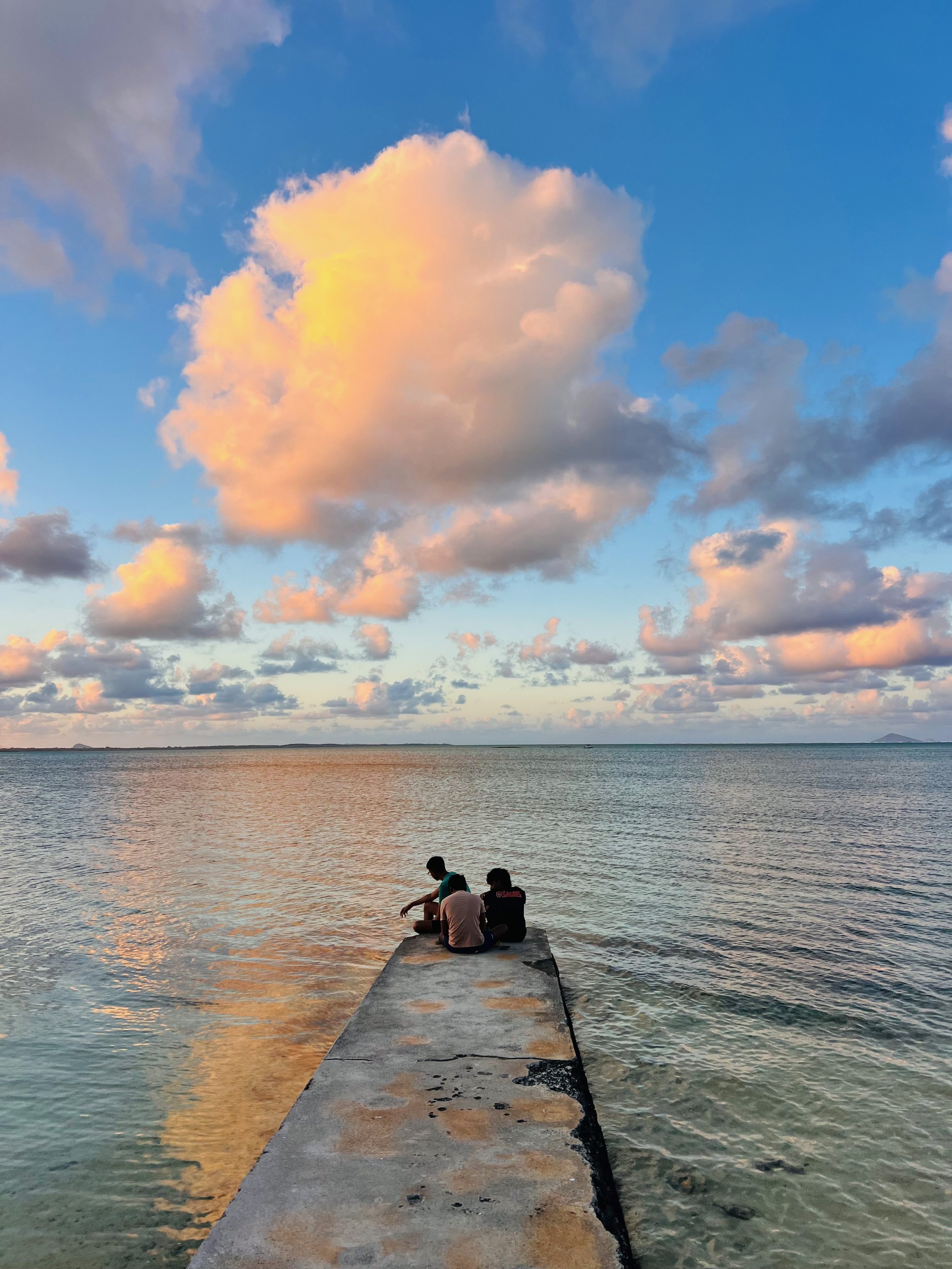 Roches Noires / Pointe aux Biches - Mauritius (territory) (interior) (concept)