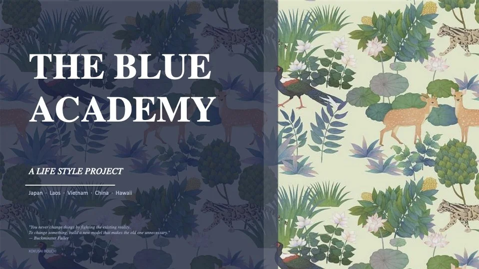 Blue Academy Slides.001.jpeg