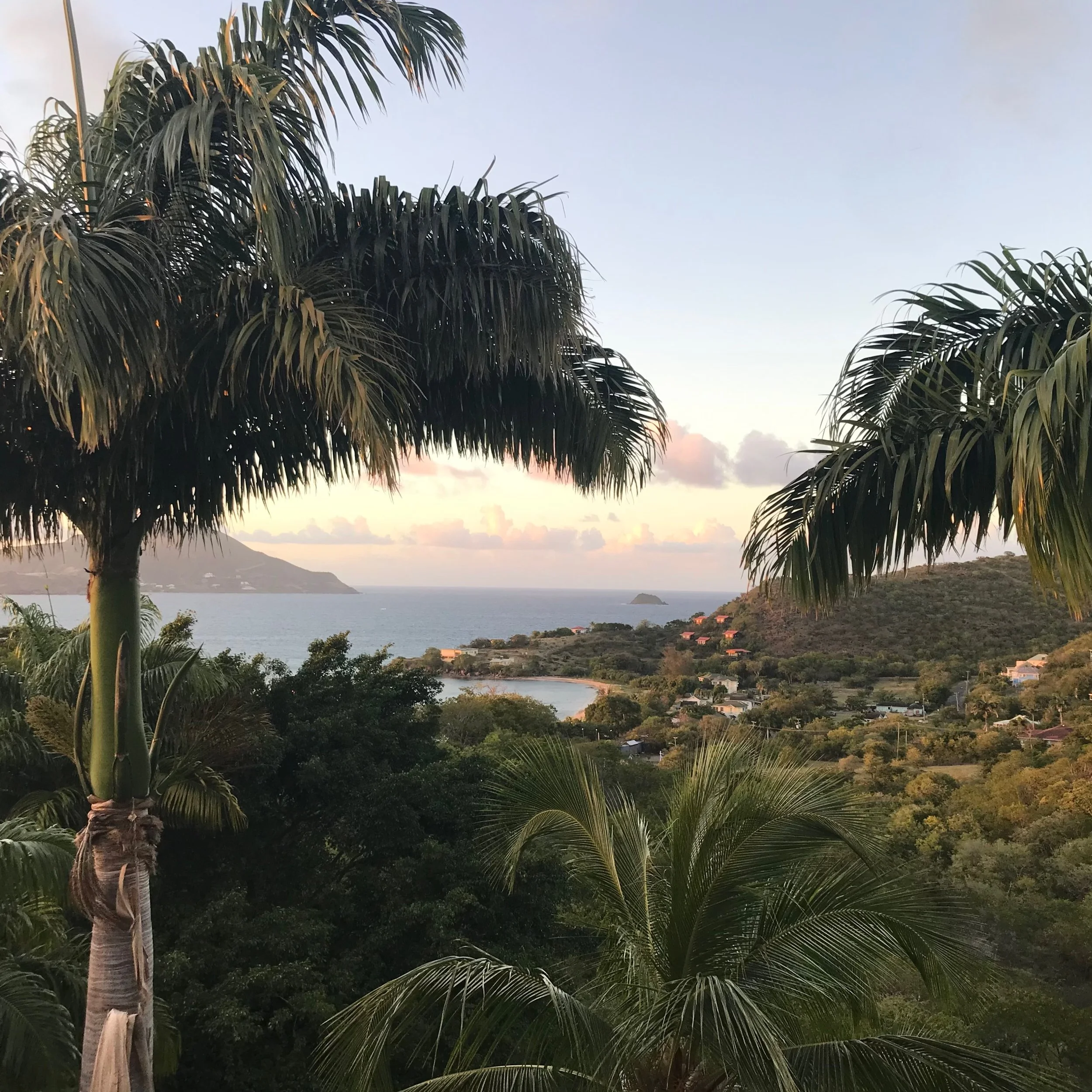 NEVIS LANDSCAPE00.jpeg