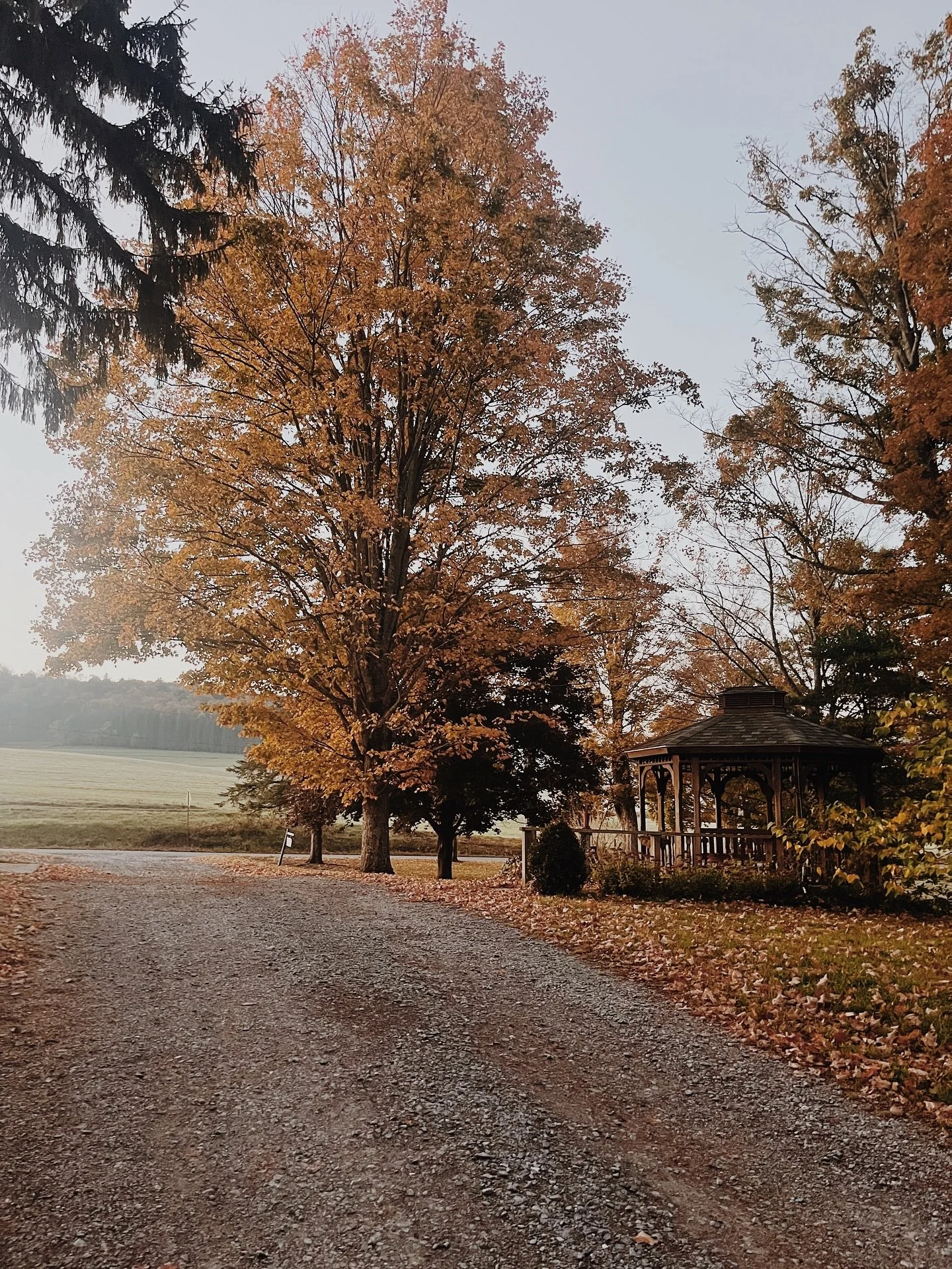 Oh how I love these warm October colors🍁