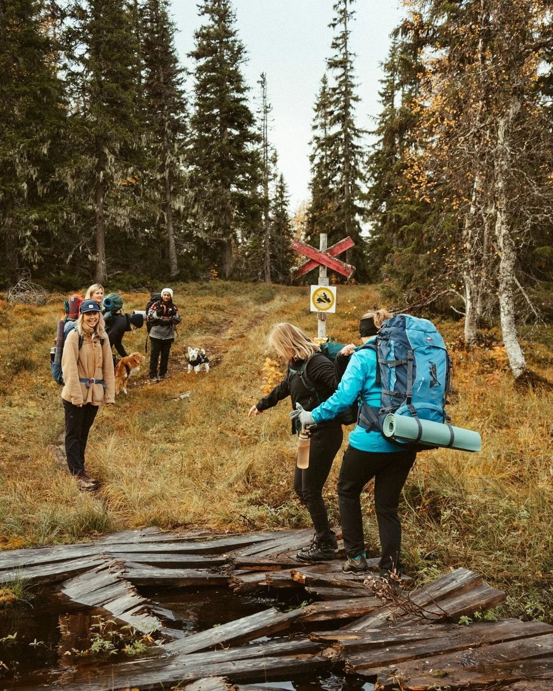 Minnen fr&aring;n n&auml;r vi vandrade upp till @lyckanslager under @fjallrotter s off grid retreat f&ouml;rra &aring;ret som jag var med och fotade. Hur magiskt &auml;r det inte med fj&auml;ll i h&ouml;stskrud? (Och hundar som &aring;ker fyrhjuling)