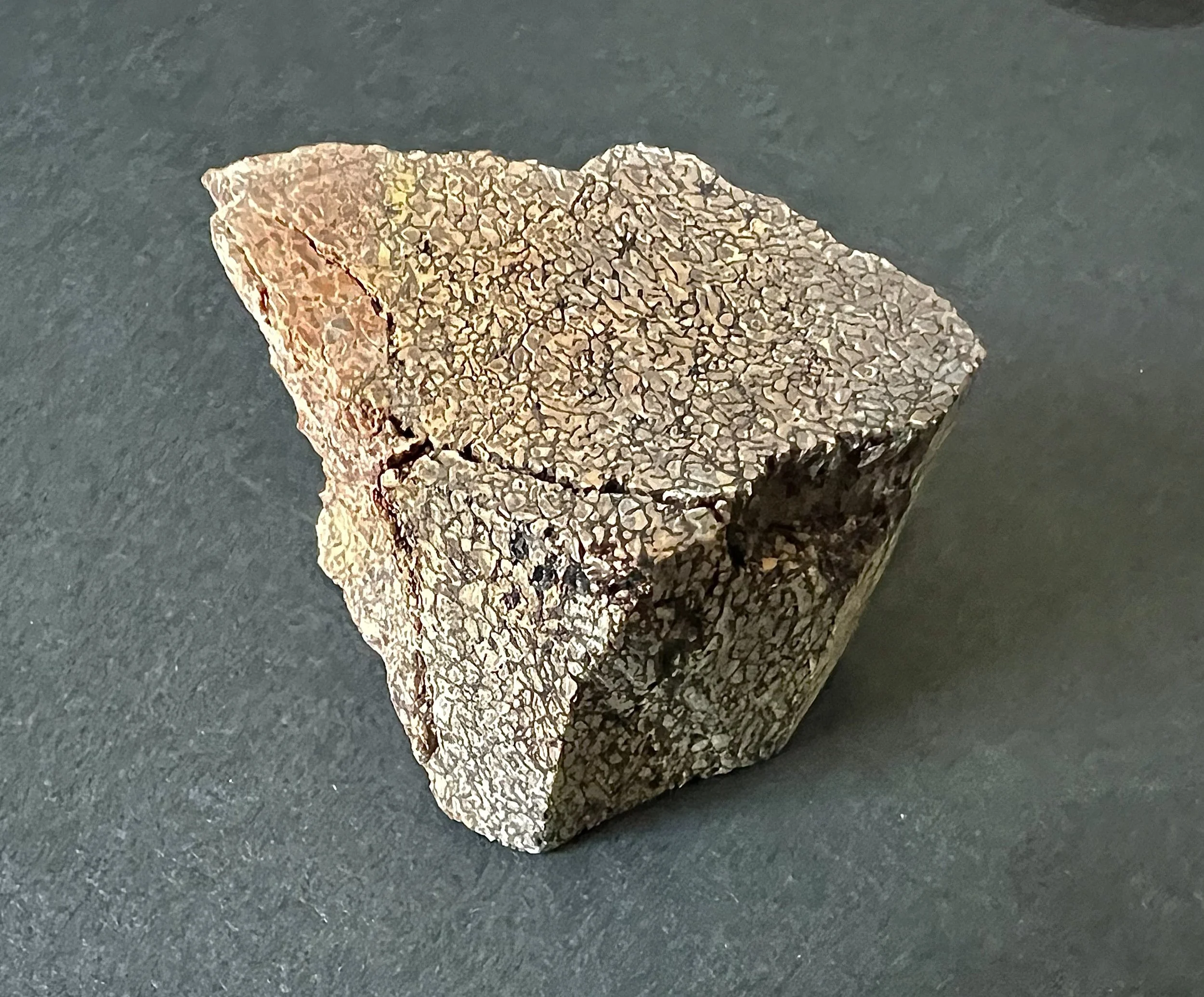 Dinosauria 001 x Mineral Form
