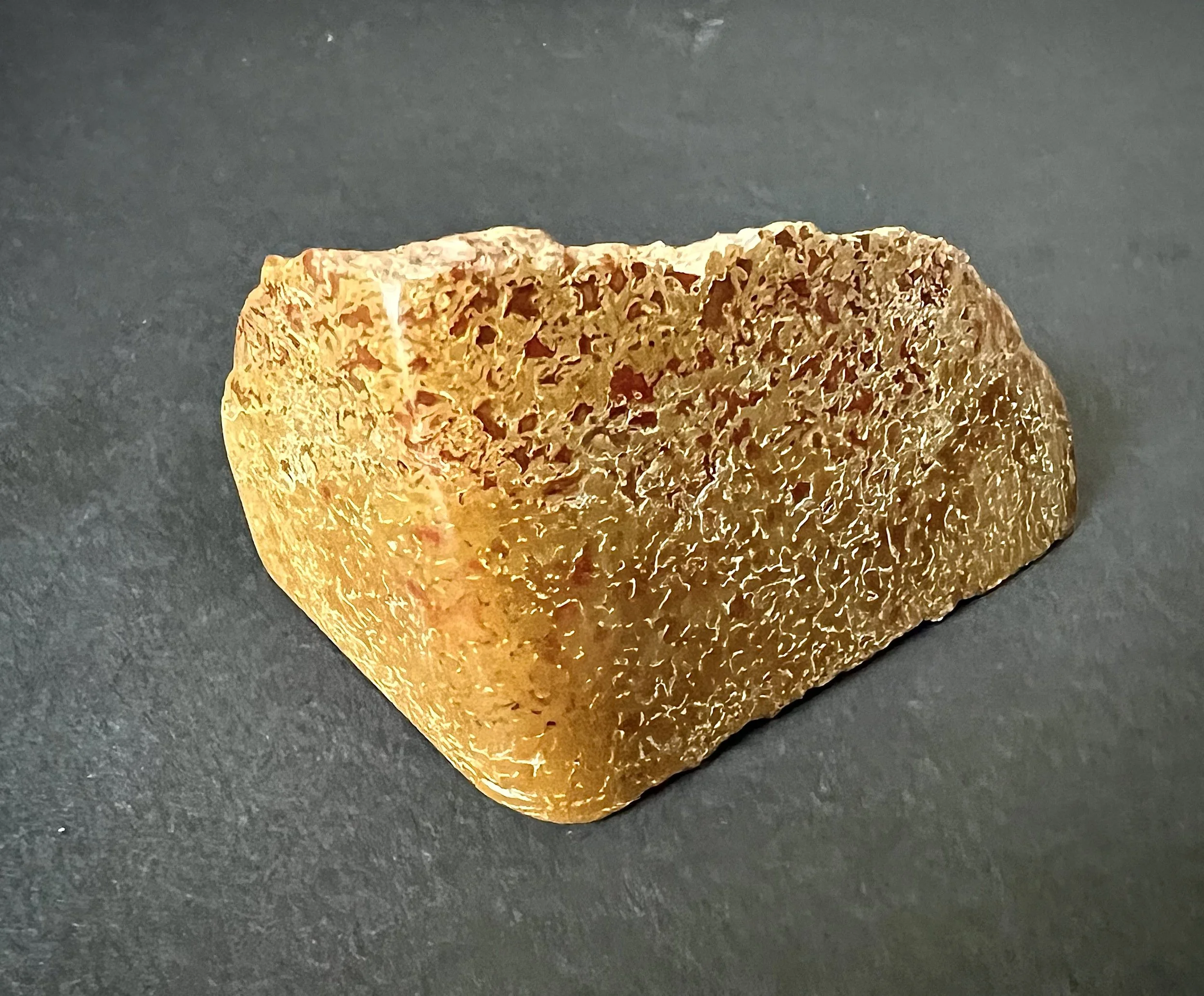 Dinosauria 002 x Mineral Form