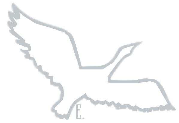 Outline of a bird in flight, facing right with wings spread.