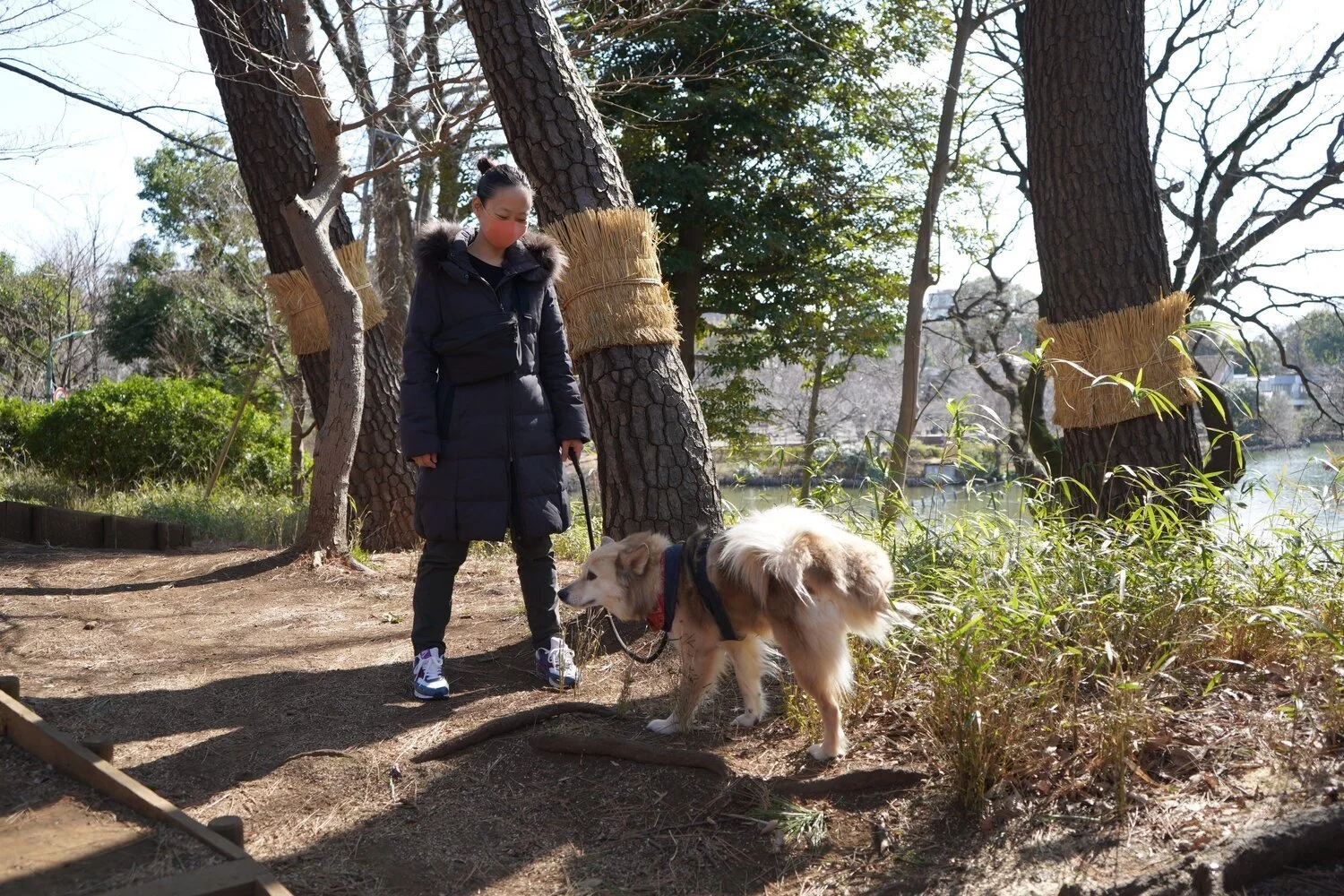 なにがなんでも免疫力。