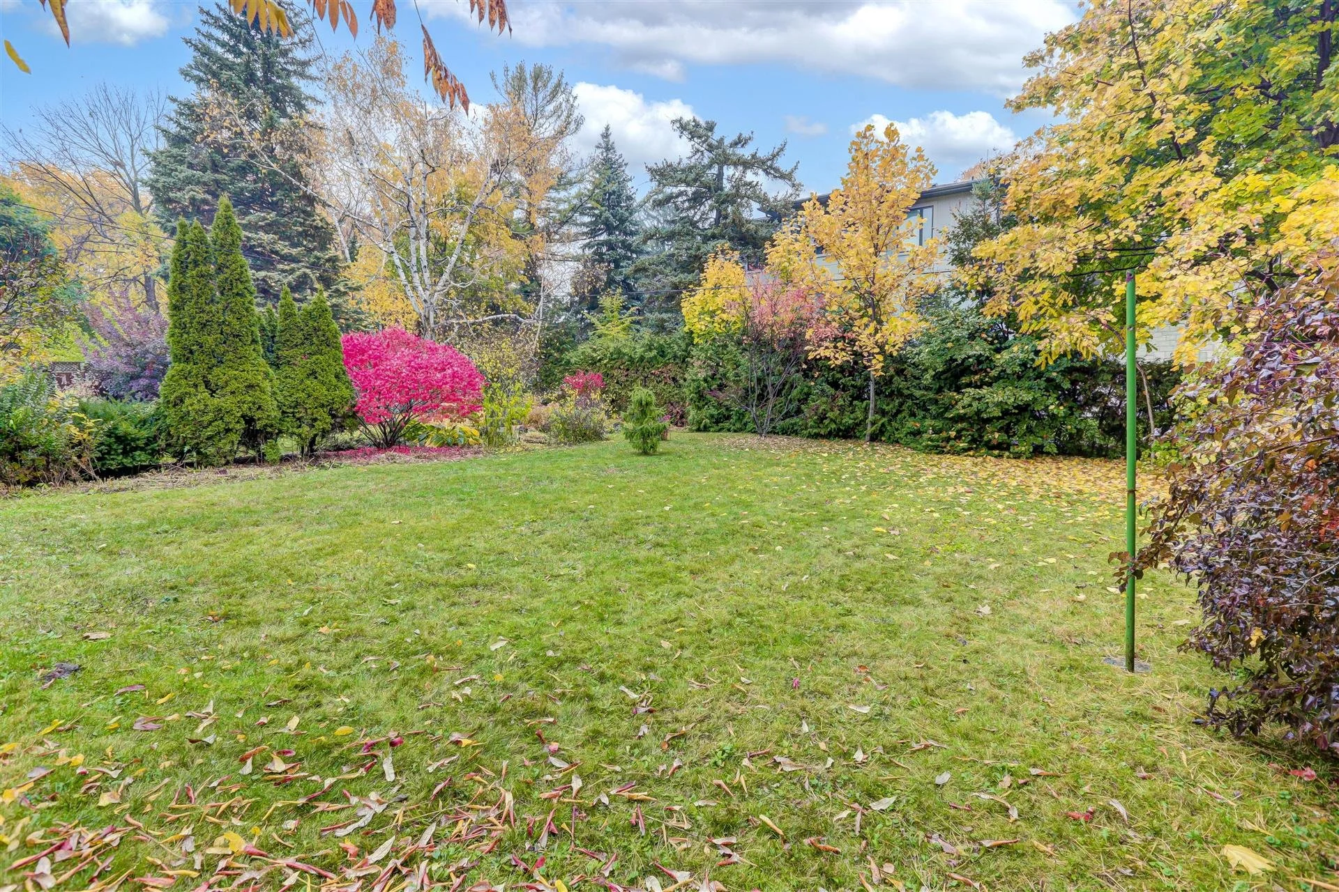 29-Backyard_3.jpg