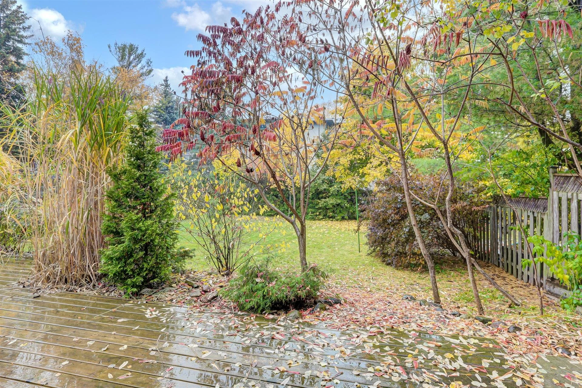 28-Backyard_2.jpg