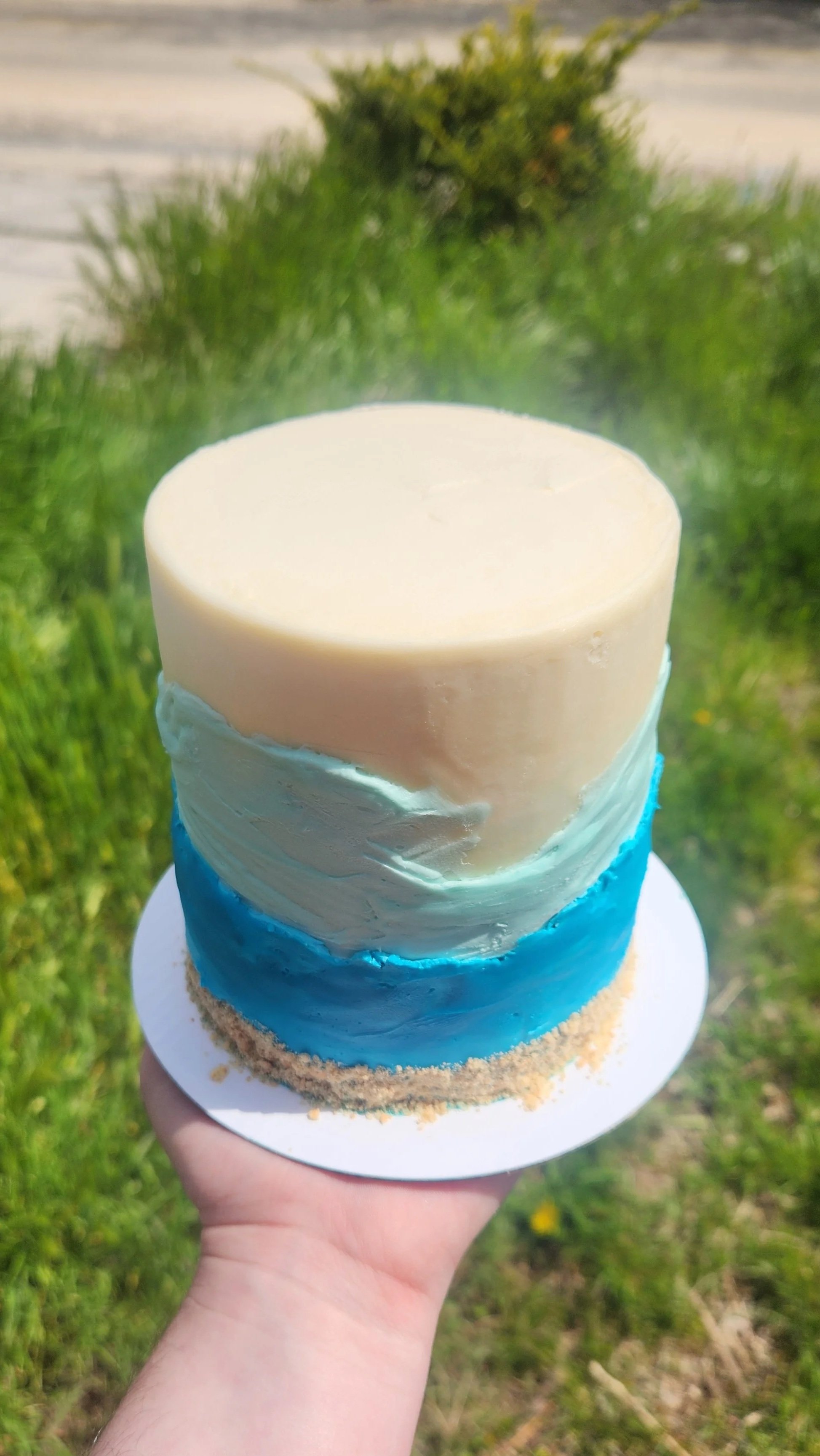 A hand holding a layered cake with white, blue, and beige frosting, outdoors on grass.