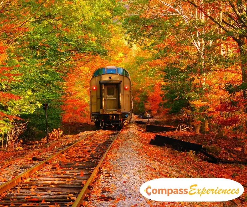 Fall Foliage Train Adventure: Cuyahoga Valley Scenic Railroad