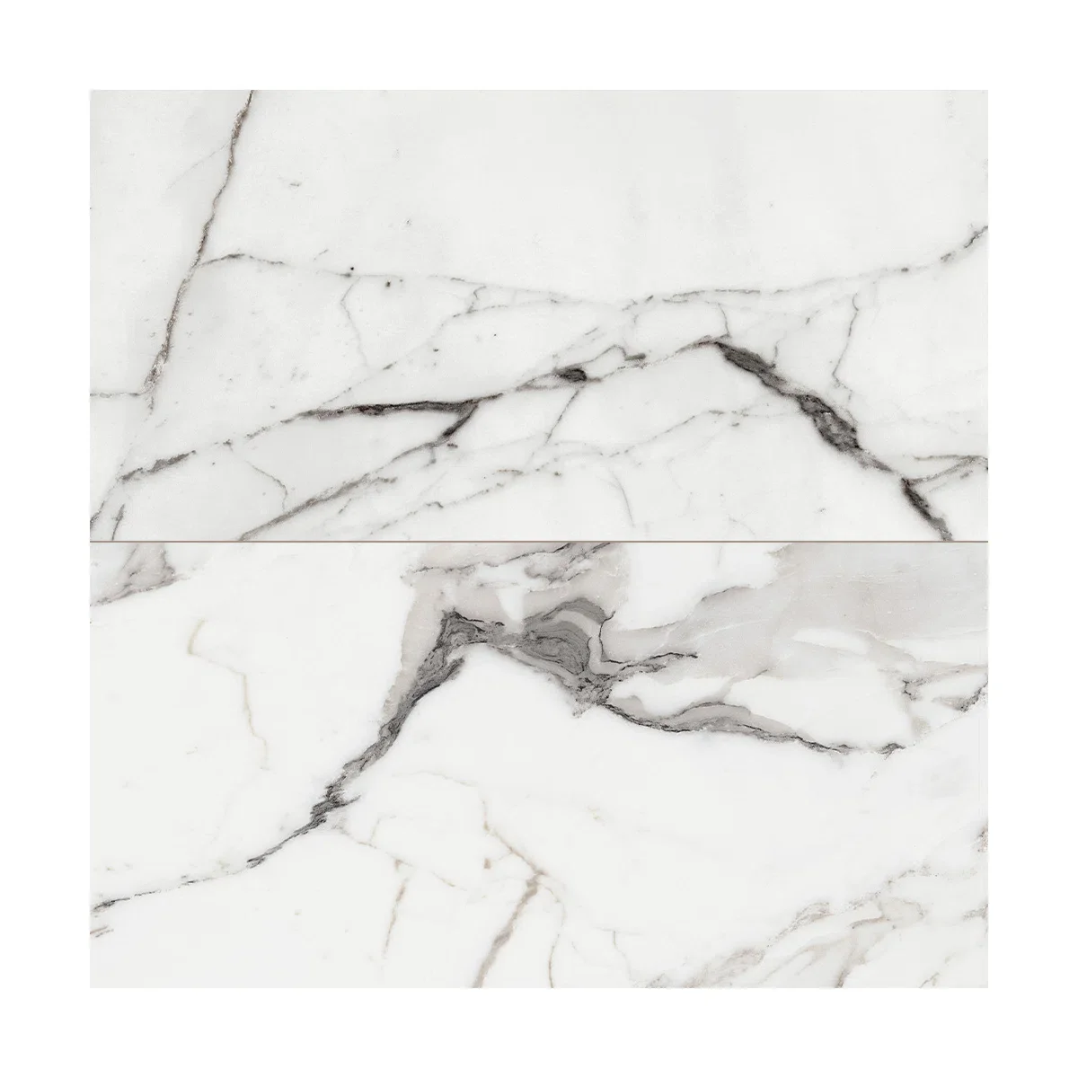 Virtue 24X48 Polished Argente