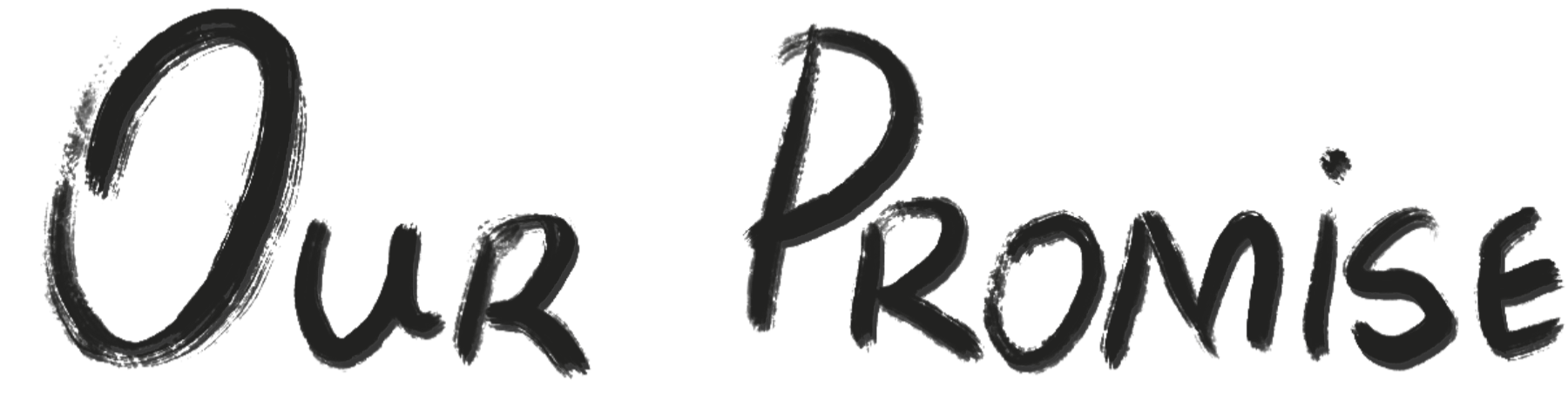 The phrase "Our Promise" written in black cursive handwriting.