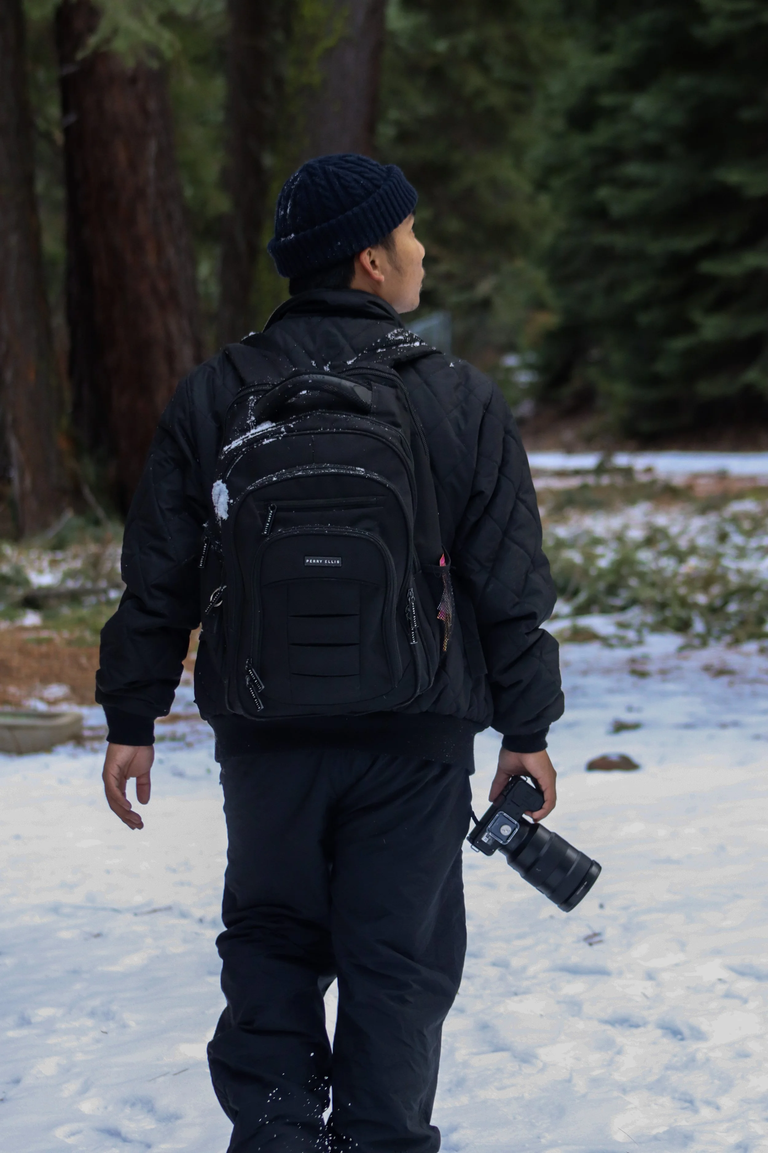 A person wearing a navy knit hat, black quilted jacket, and black pants, carrying a backpack and holding a camera, walking in a snowy forest with tall trees and green foliage.