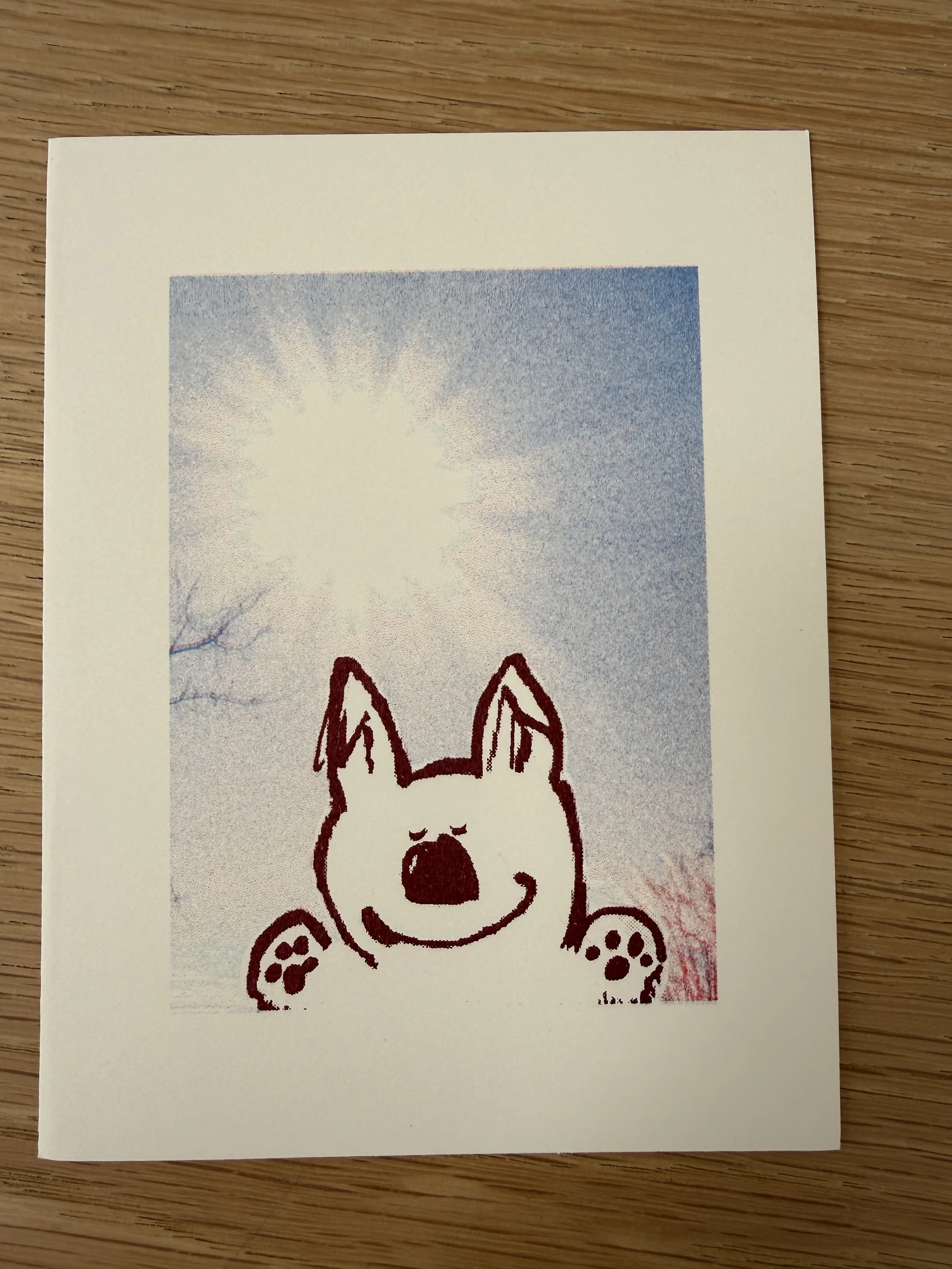 IMG_5687.jpeg
