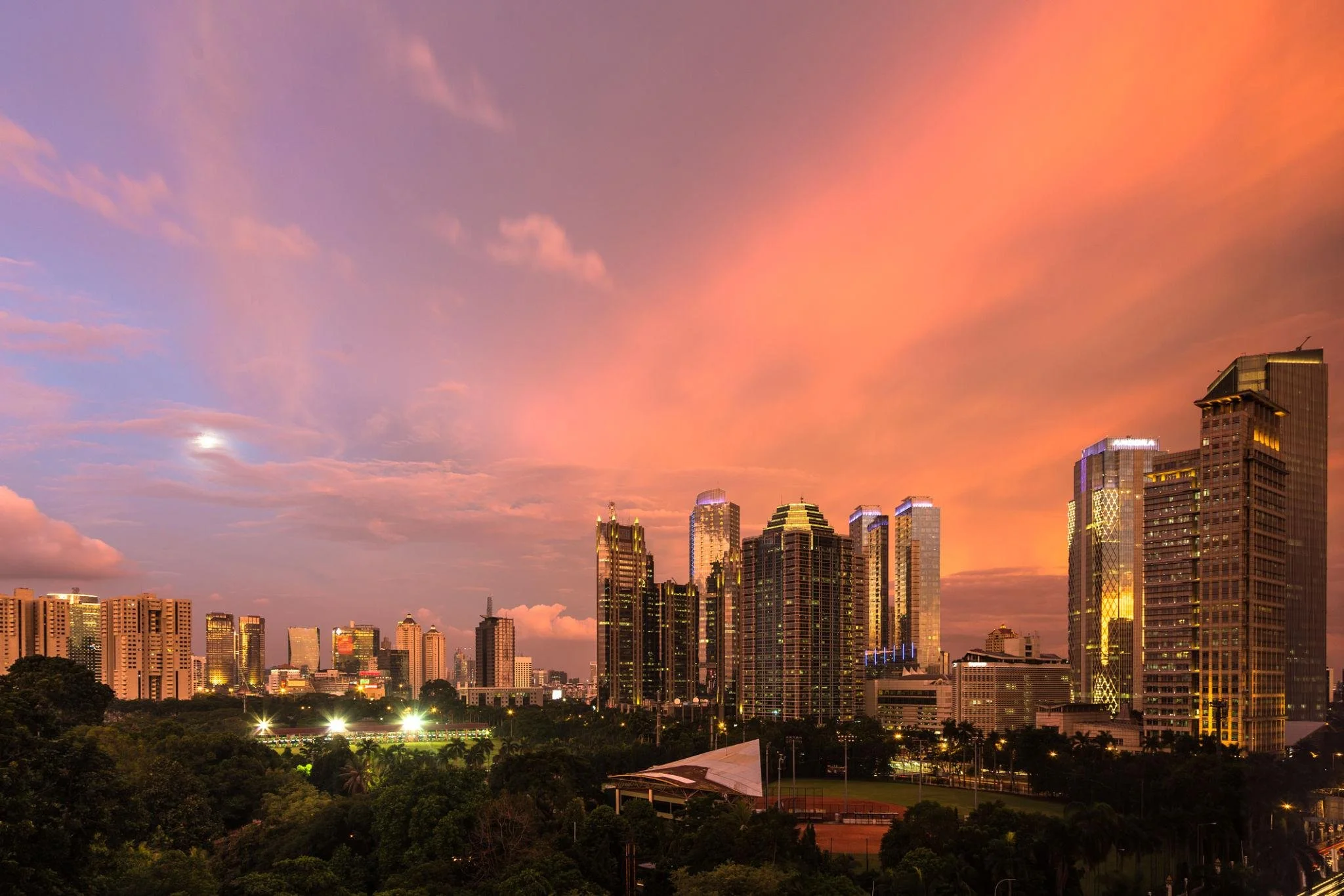 A city skyline during sunset with tall skyscrapers and a park with trees in the foreground. for Jakarta  for corporate delegations and tours