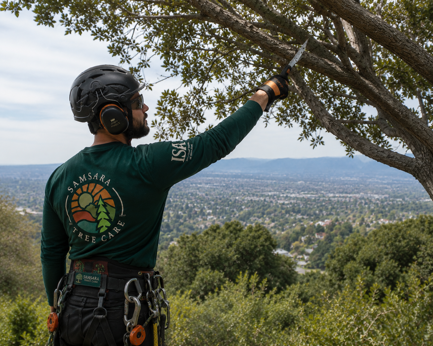 Certified Arborist preforming vista pruning. Samsara Tree Care