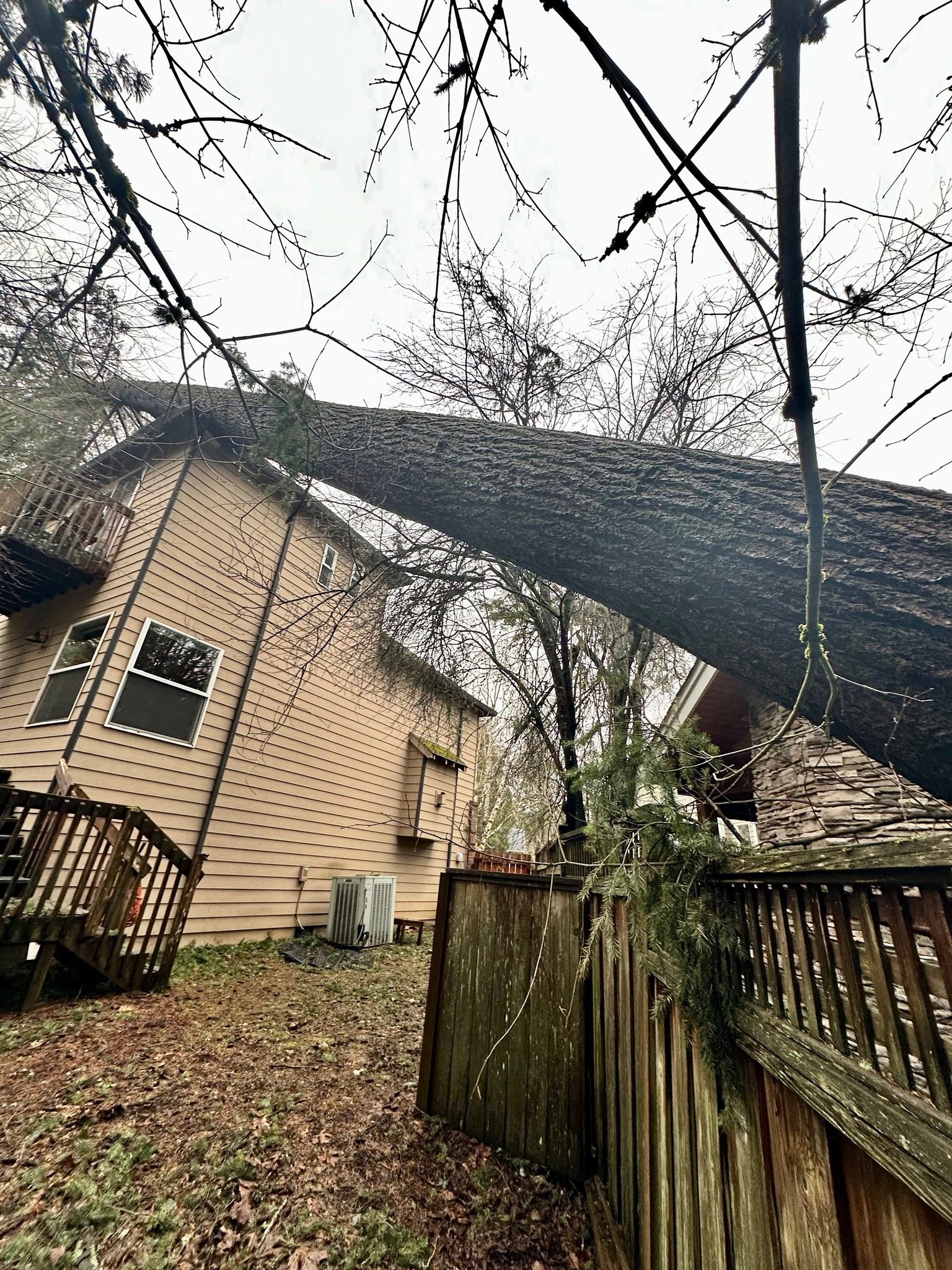 Emergency Tree Services in the Pacific Northwest