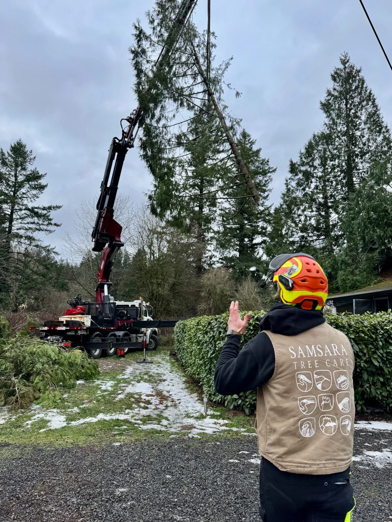 Protecting Your Trees During Storm Season