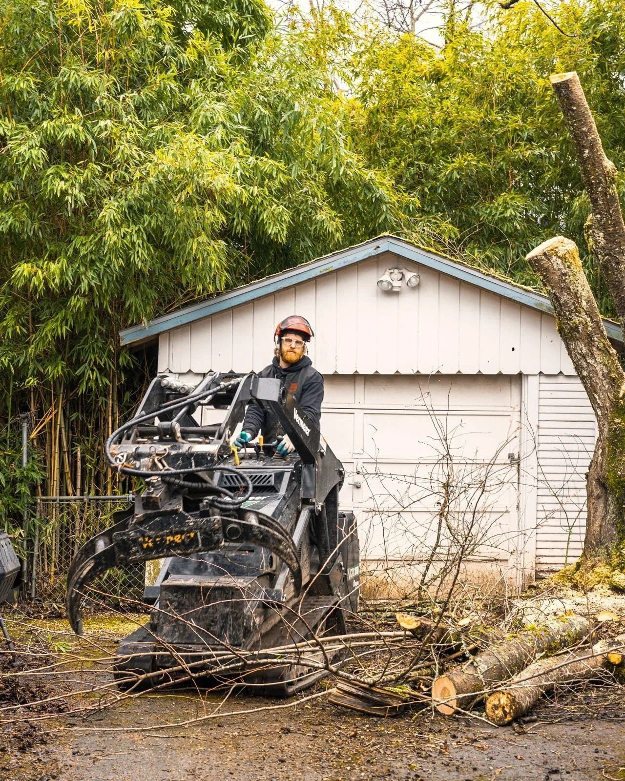 SamsaraTreeCare_Certified-Arborist_Cherry-Tree-Removal_NE-Portland-Crew_17.jpg