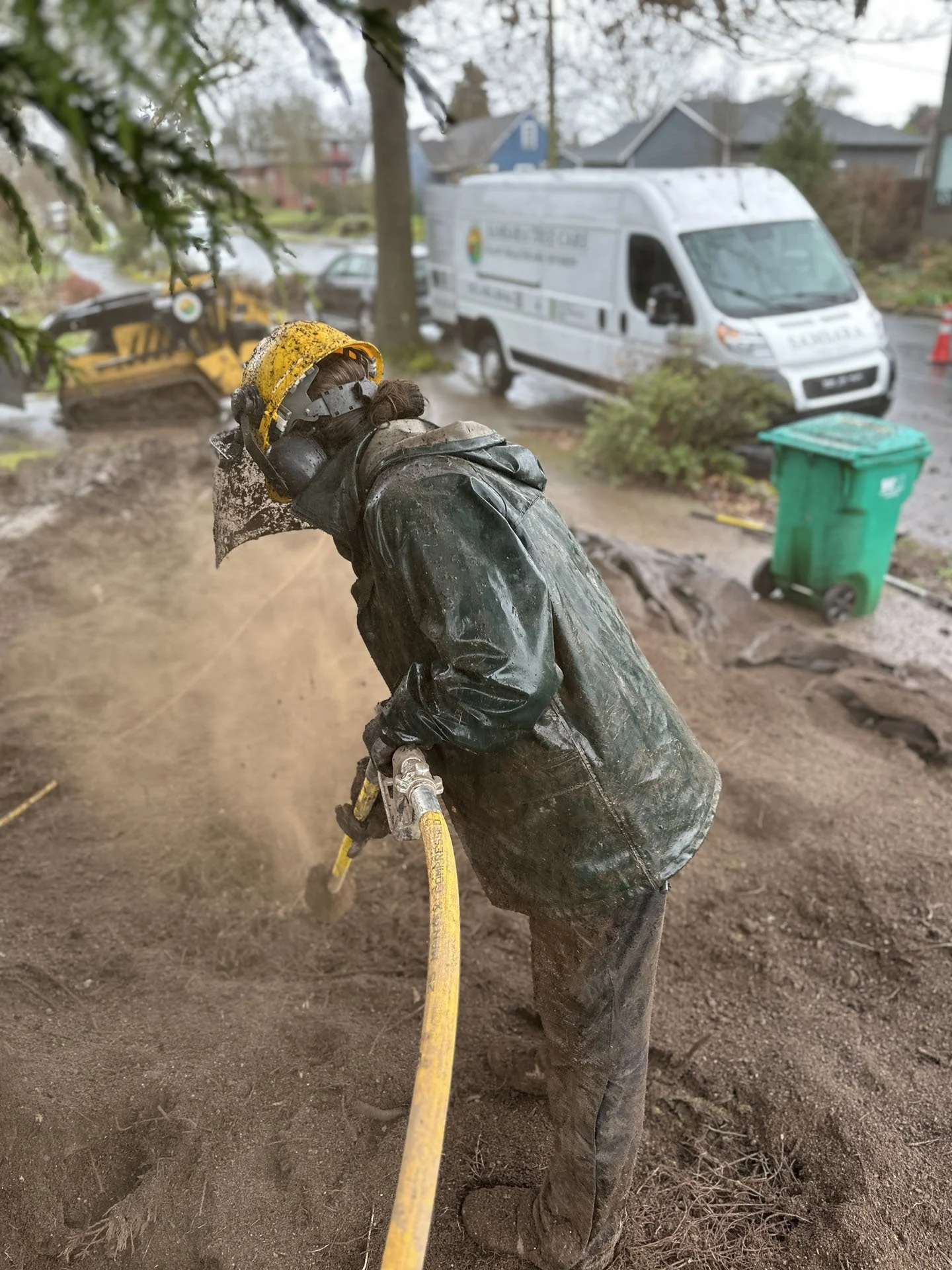 Samsara Tree Care doing an air spade on a western red cedar in se Portland to improve tree health
