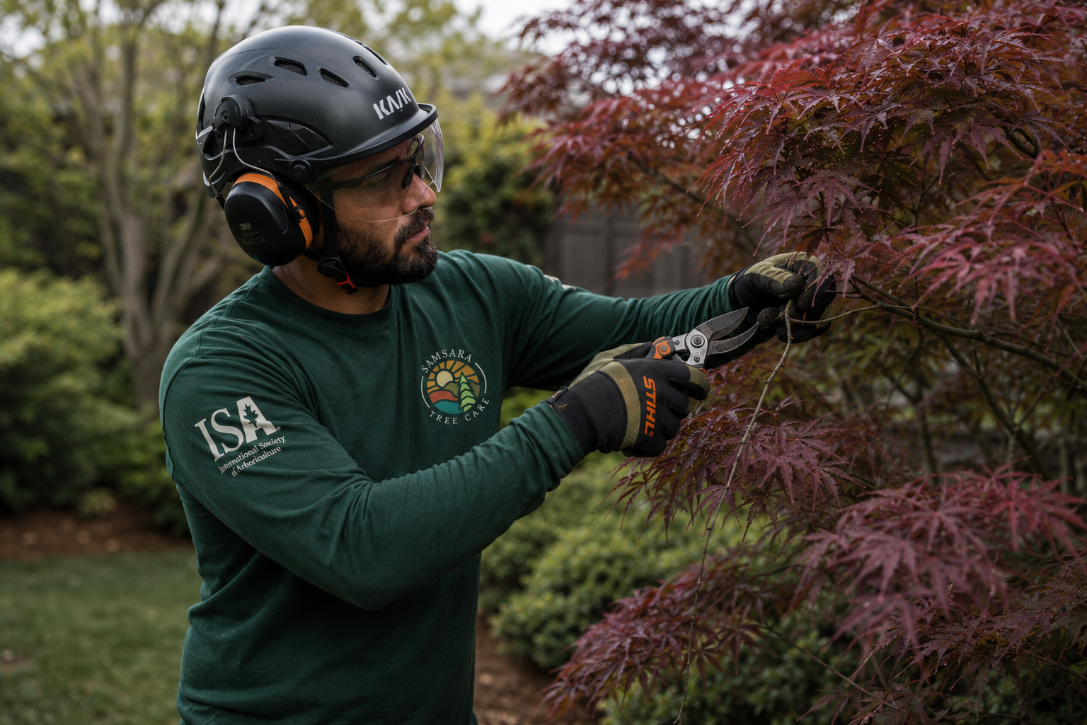 ISA Certified Arborist with Samsara Tree Care pruning a Japanese maple tree using proper arboricultural techniques and full safety equipment in a residential garden setting.