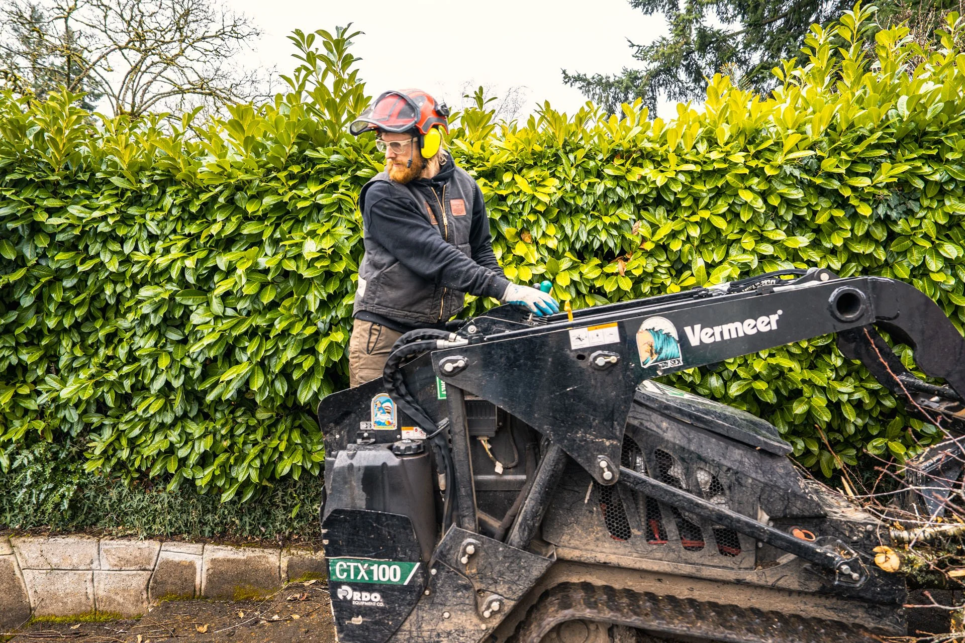 Samsara Tree Care moving large wood using a skid on a cherry removal in Portland Oregon