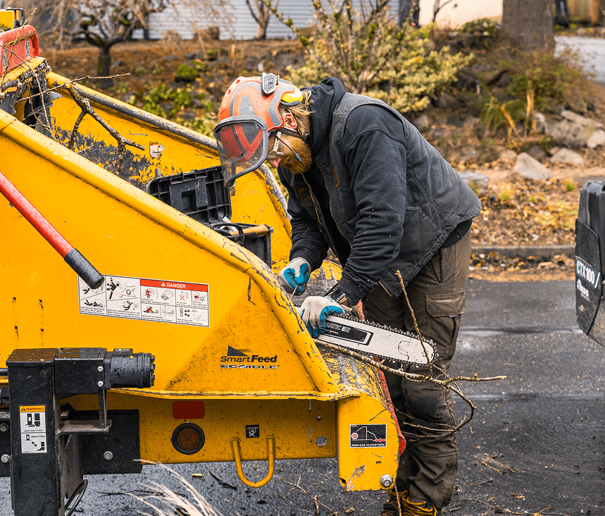 Samsara Tree Care sharpening a chainsaw during a tree removal in Portland Or