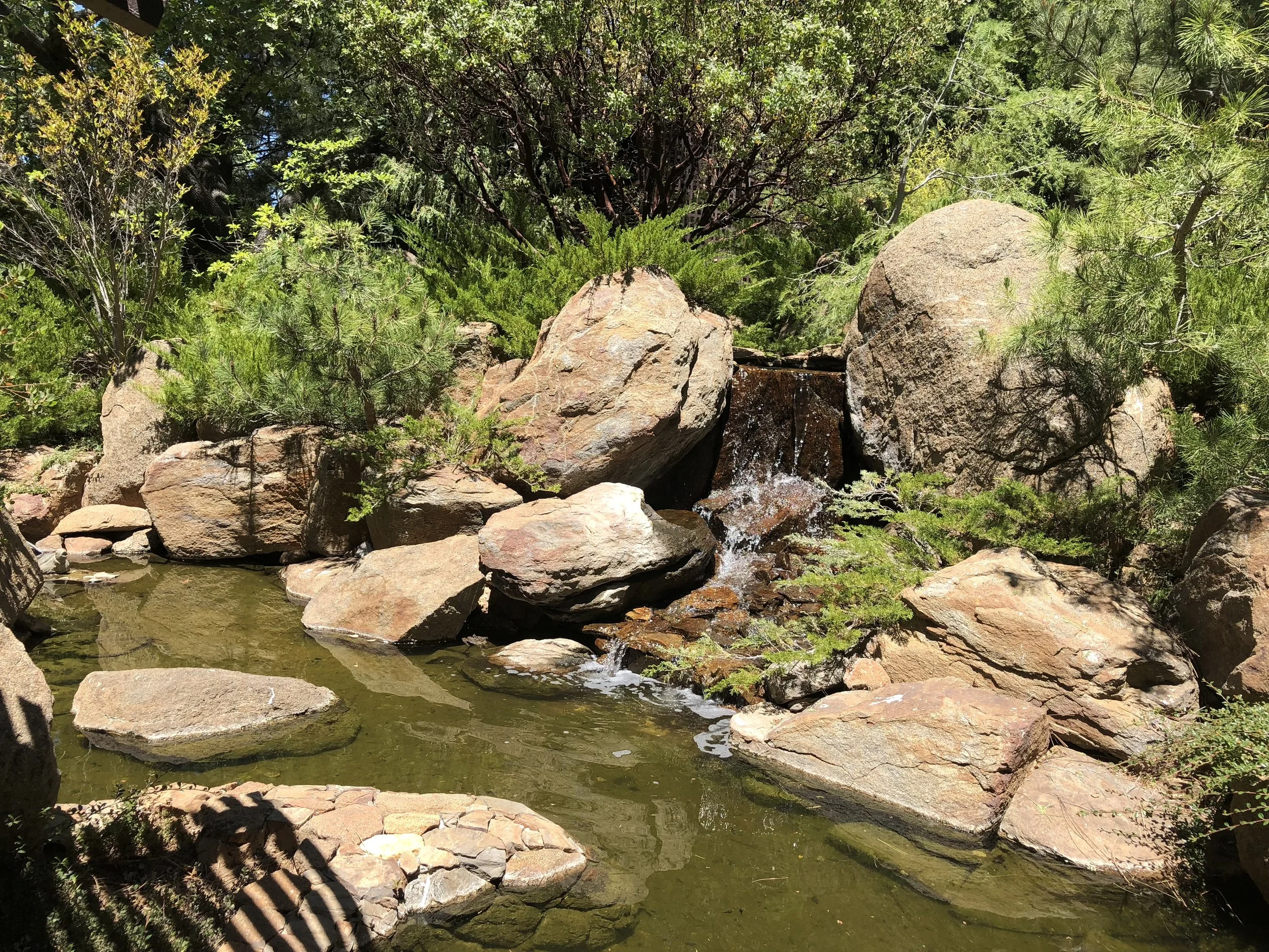 IMG_0809.jpeg