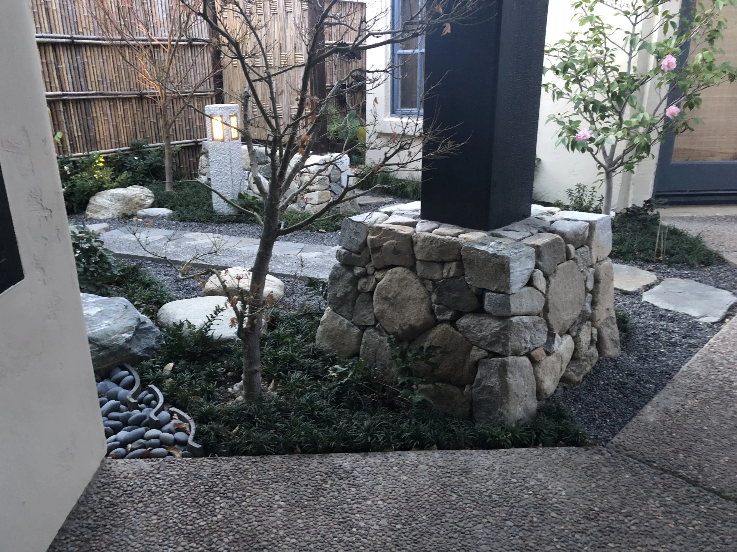 IMG_0347.jpeg