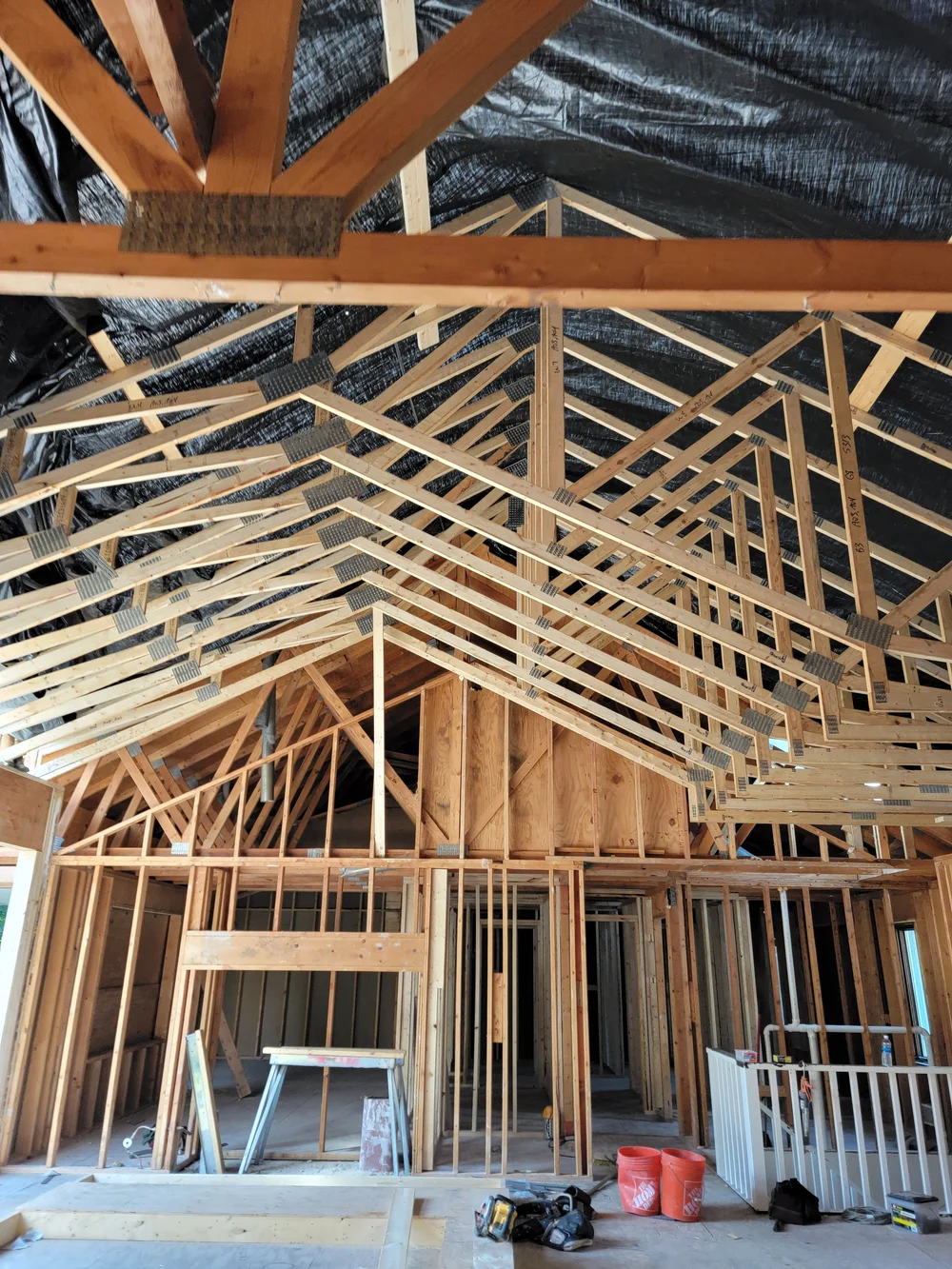 Interior view of roof trusses