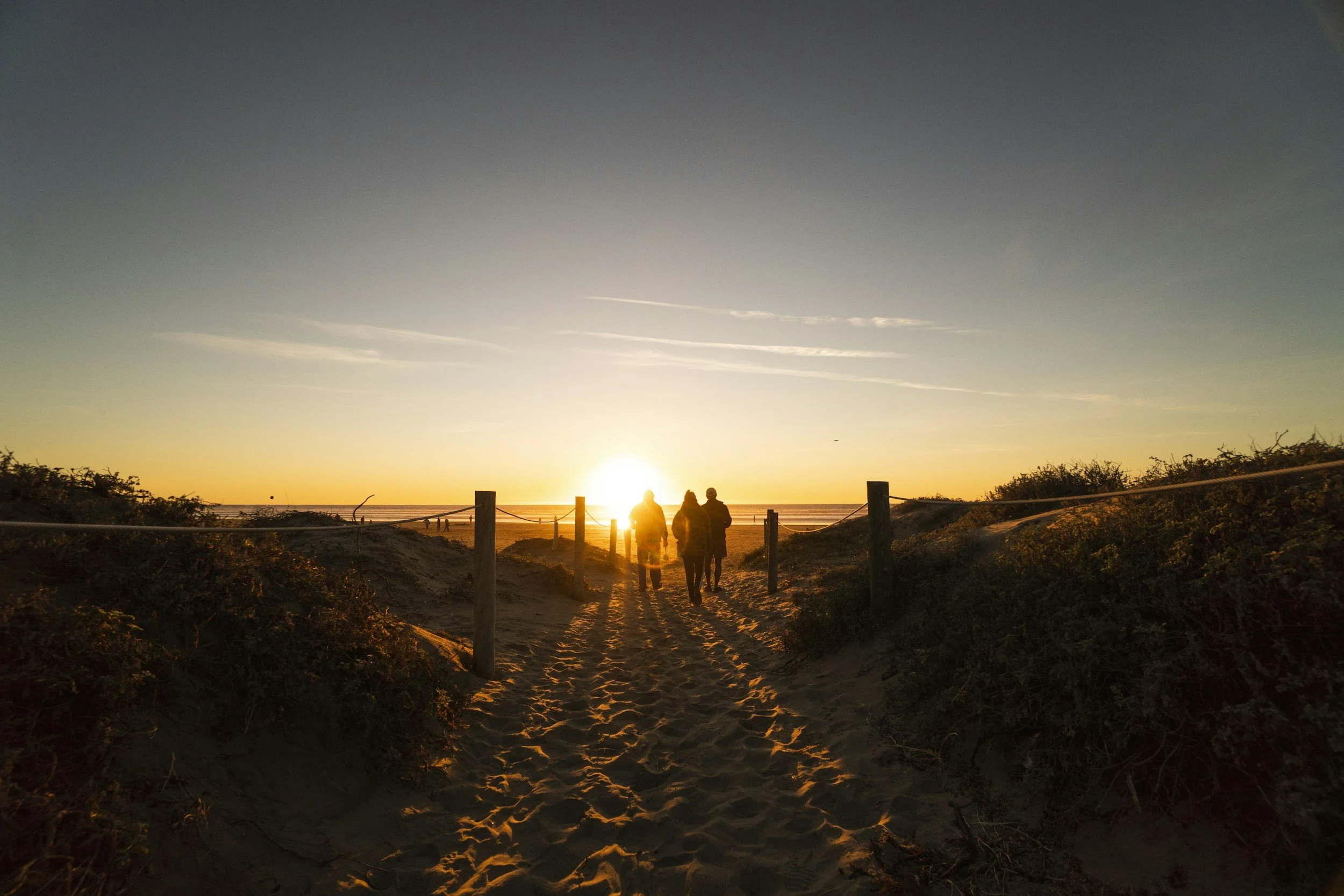Silhouette of four people walking on a sandy beach path towards the setting sun, with clouds in the sky and vegetation on either side.