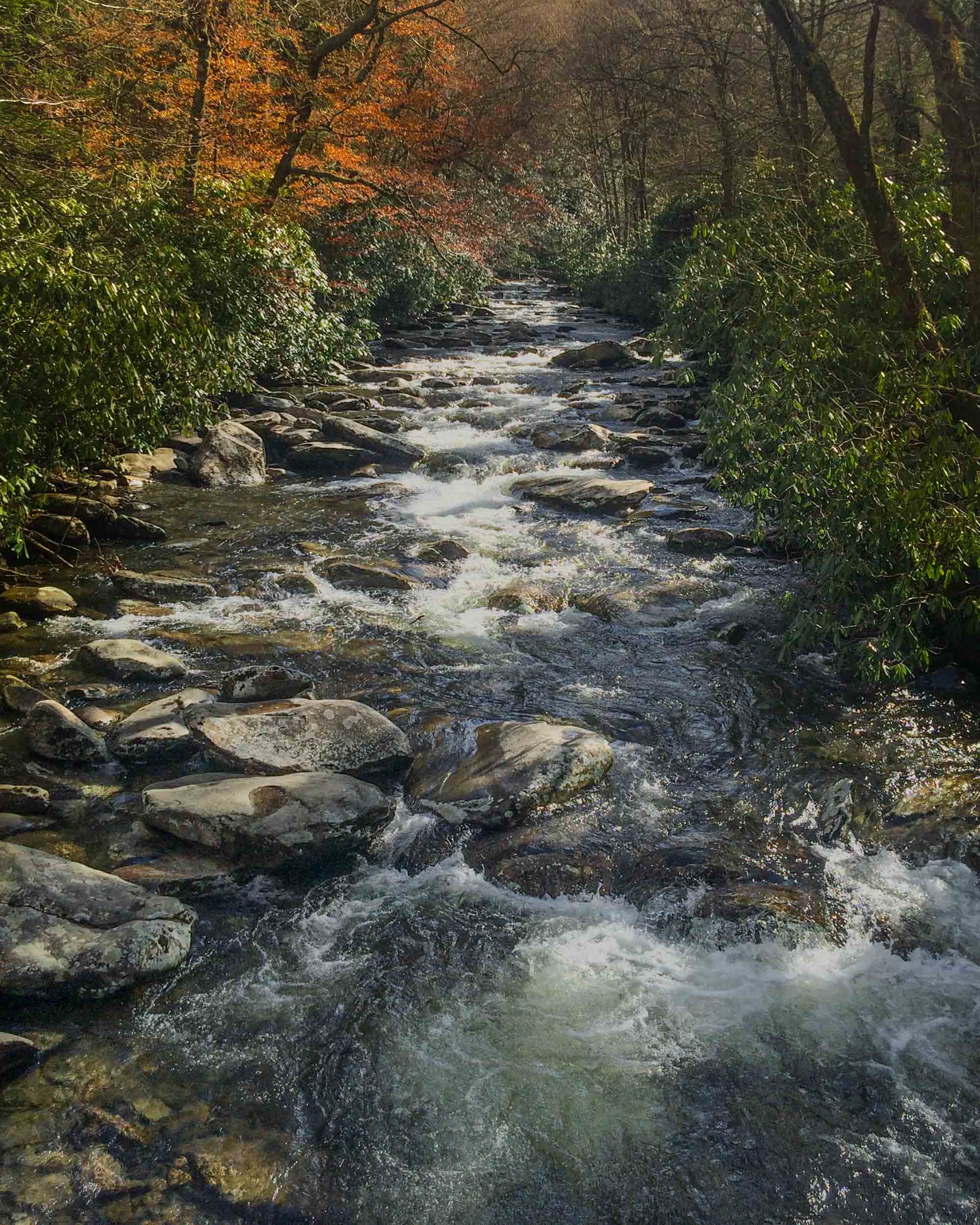LeConte Creek Rainbow Falls Trail